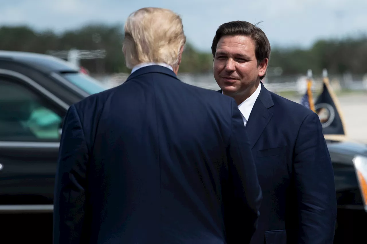 Trump Considers Replacing Defense Secretary Nominee Pete Hegseth with Ron DeSantis