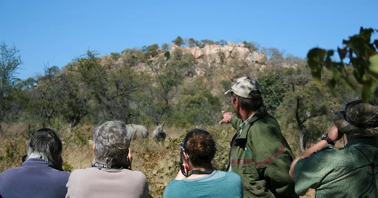 Nashorn-Safari zu Fuß in Simbabwe