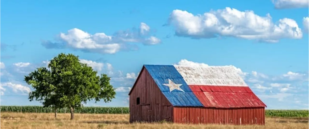 Texas Looks to Capitalize on Big Tech's Nuclear Power Push