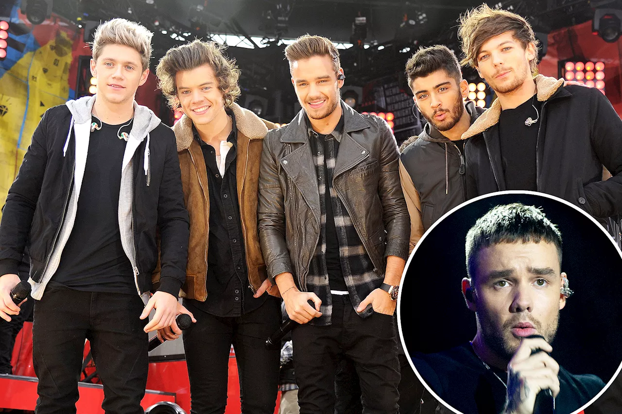 One Direction was 'in talks' to do a reunion show — with Zayn Malik — before Liam Payne's death: report