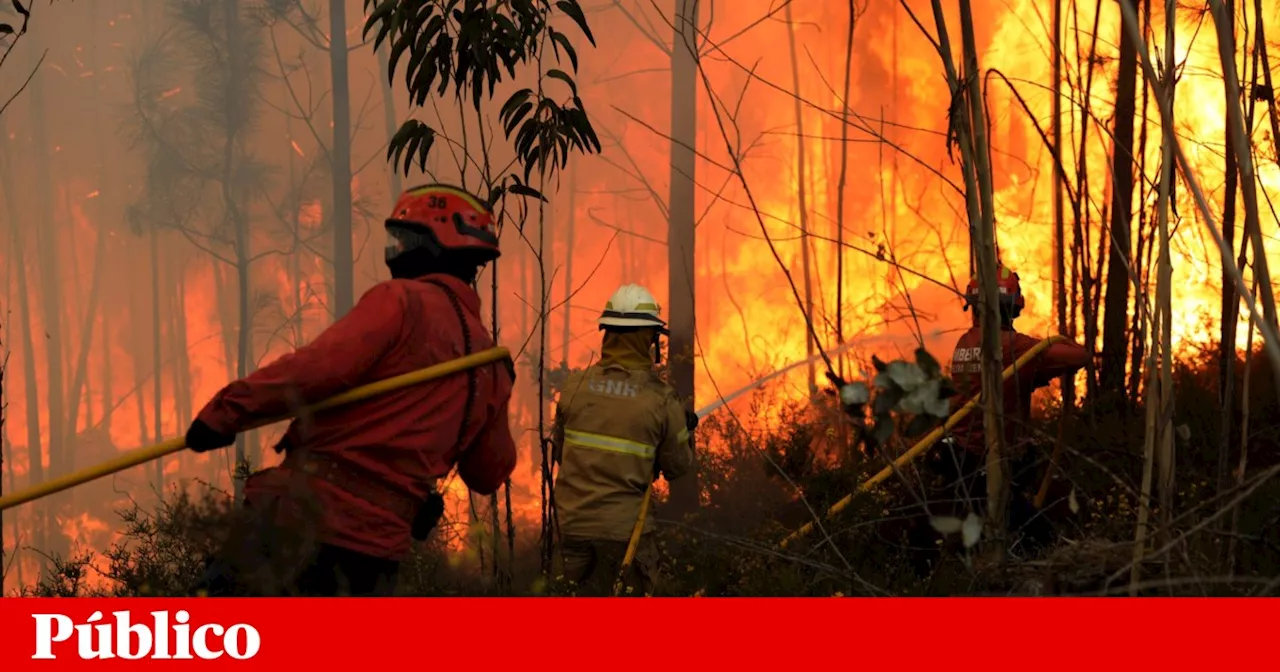 Detido suspeito da autoria de incêndio de Setembro em Oliveira de Azeméis