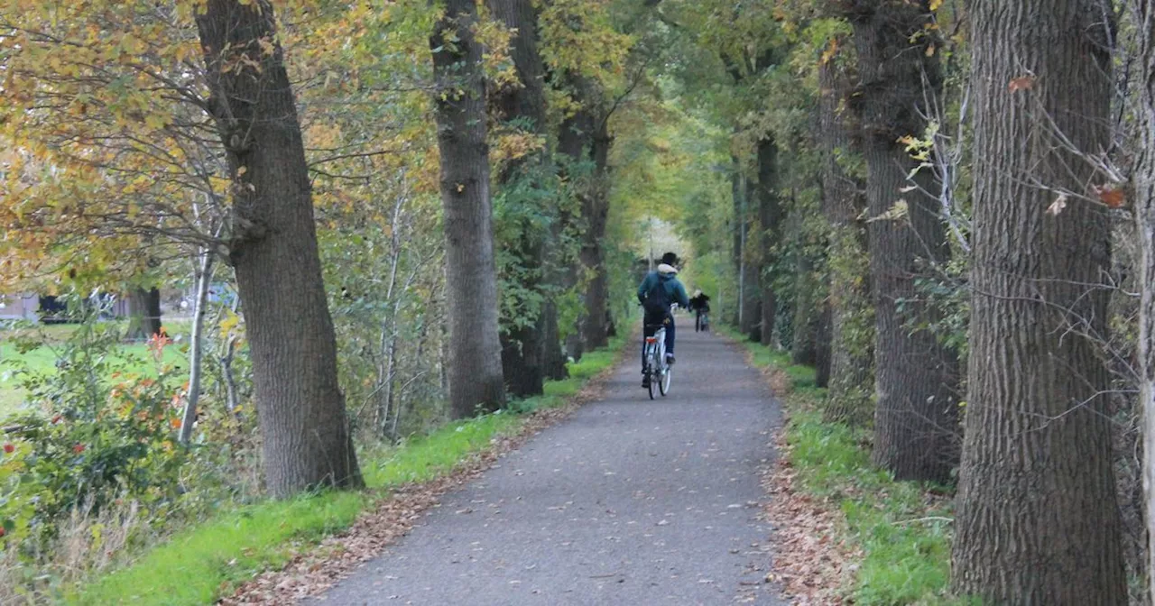 Meppel: Bewoner Beschouwt Nieuw Fietspad Als 'Gemiste Kans'