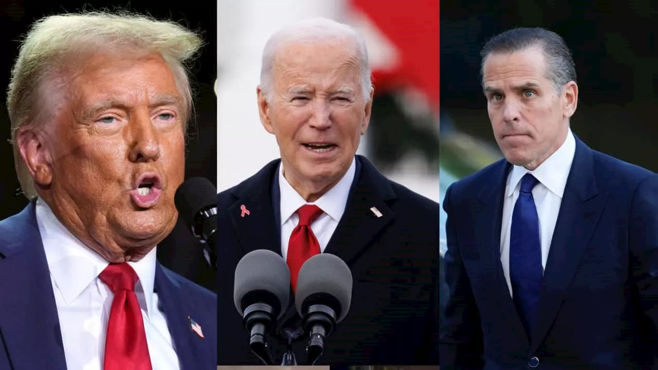 'An enormous favour': What Hunter Biden's pardon could mean for Trump's second term