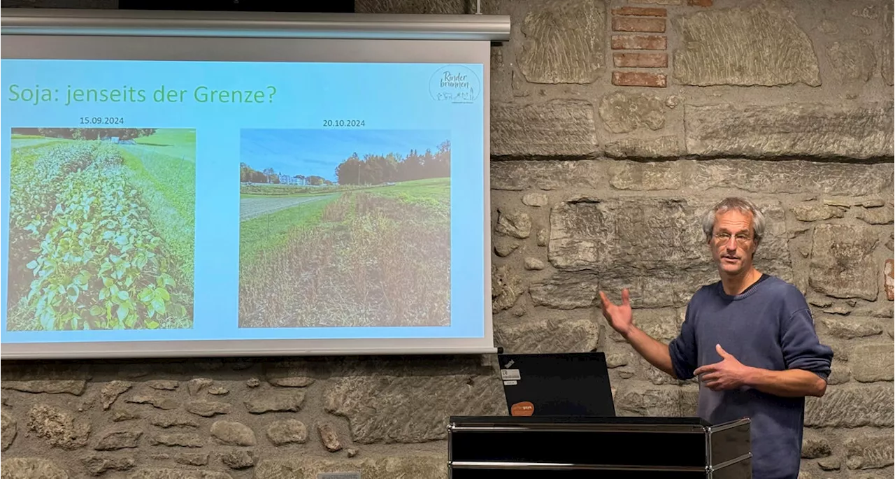 Schweizer Landwirtschaft erforscht Körnerleguminosen