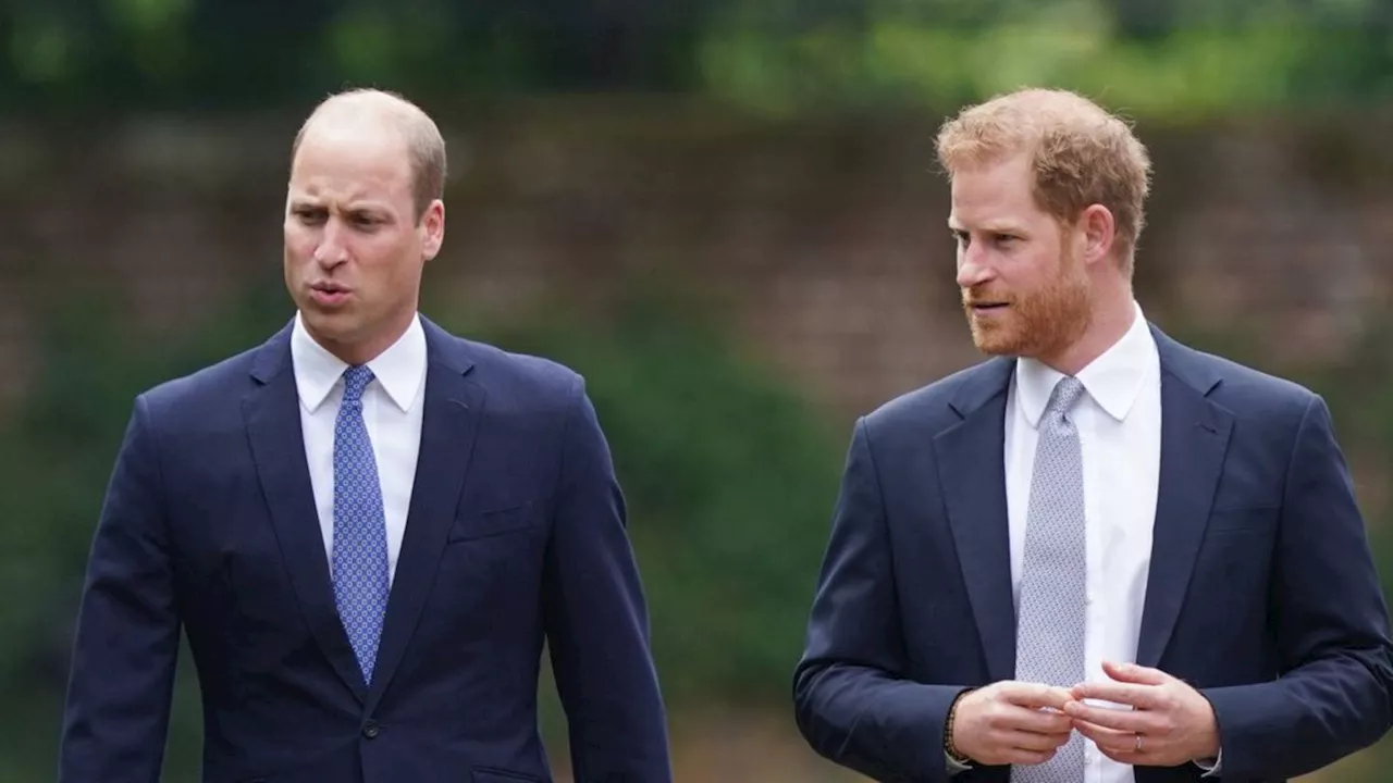 Prinz William und Prinz Harry: Getrennte Botschaften für gemeinsamen Preis