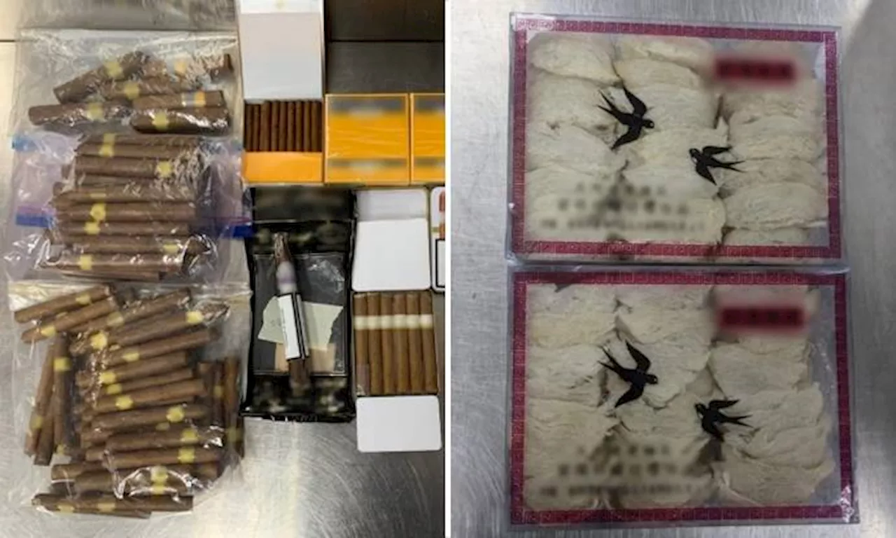 Travellers penalised for bringing in cigars, not declaring 800g of bird's nest and other offences