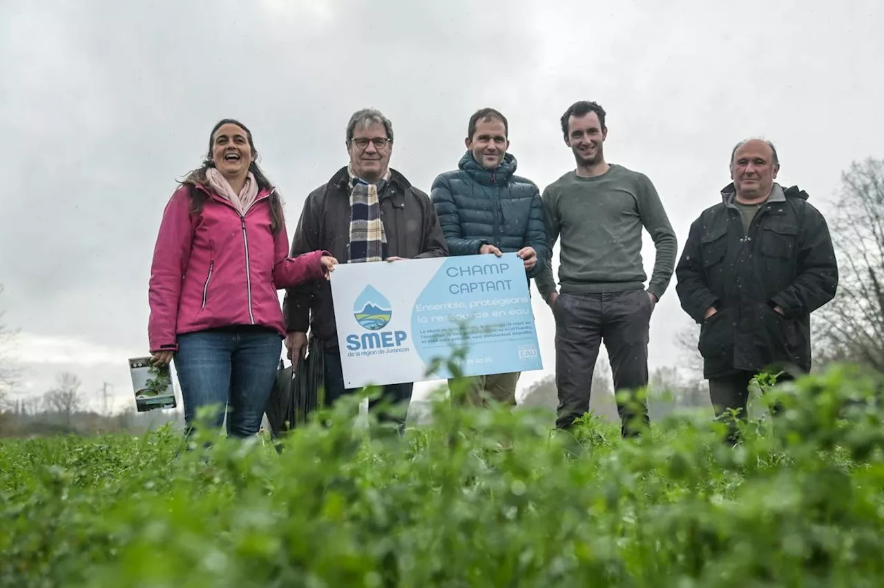 Béarn : ce syndicat des eaux travaille avec les agriculteurs pour préserver la ressource