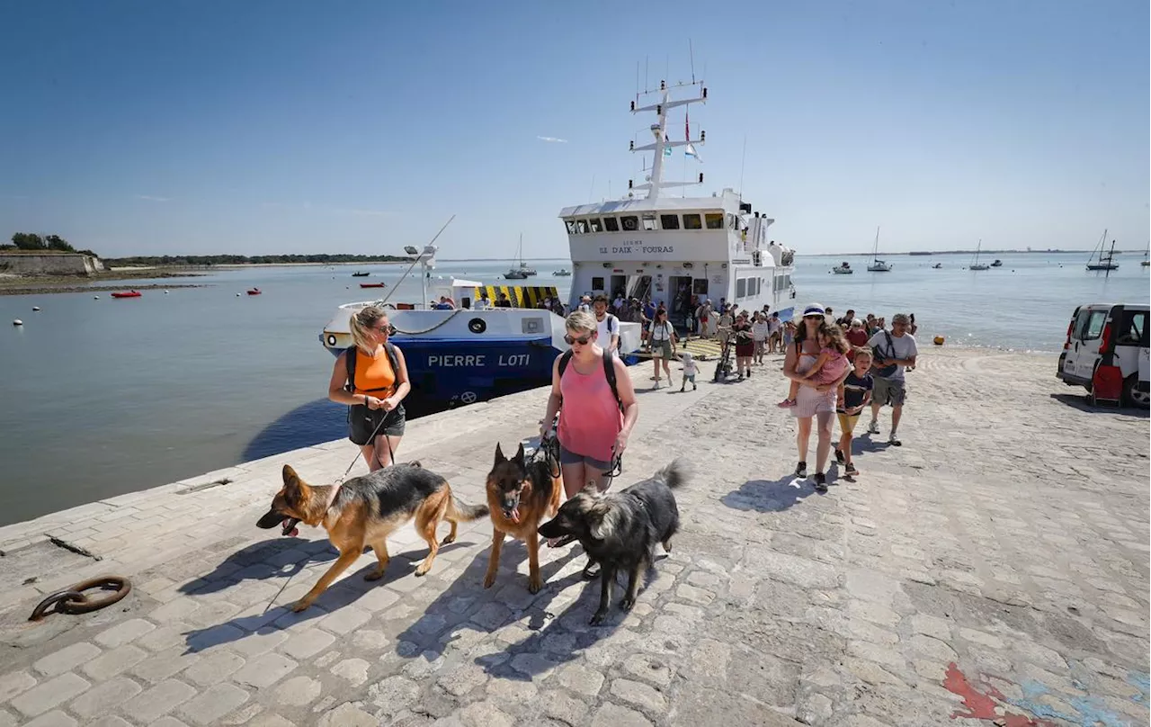 Charente-Maritime : une saison touristique entre deux eaux pour le Pays rochefortais