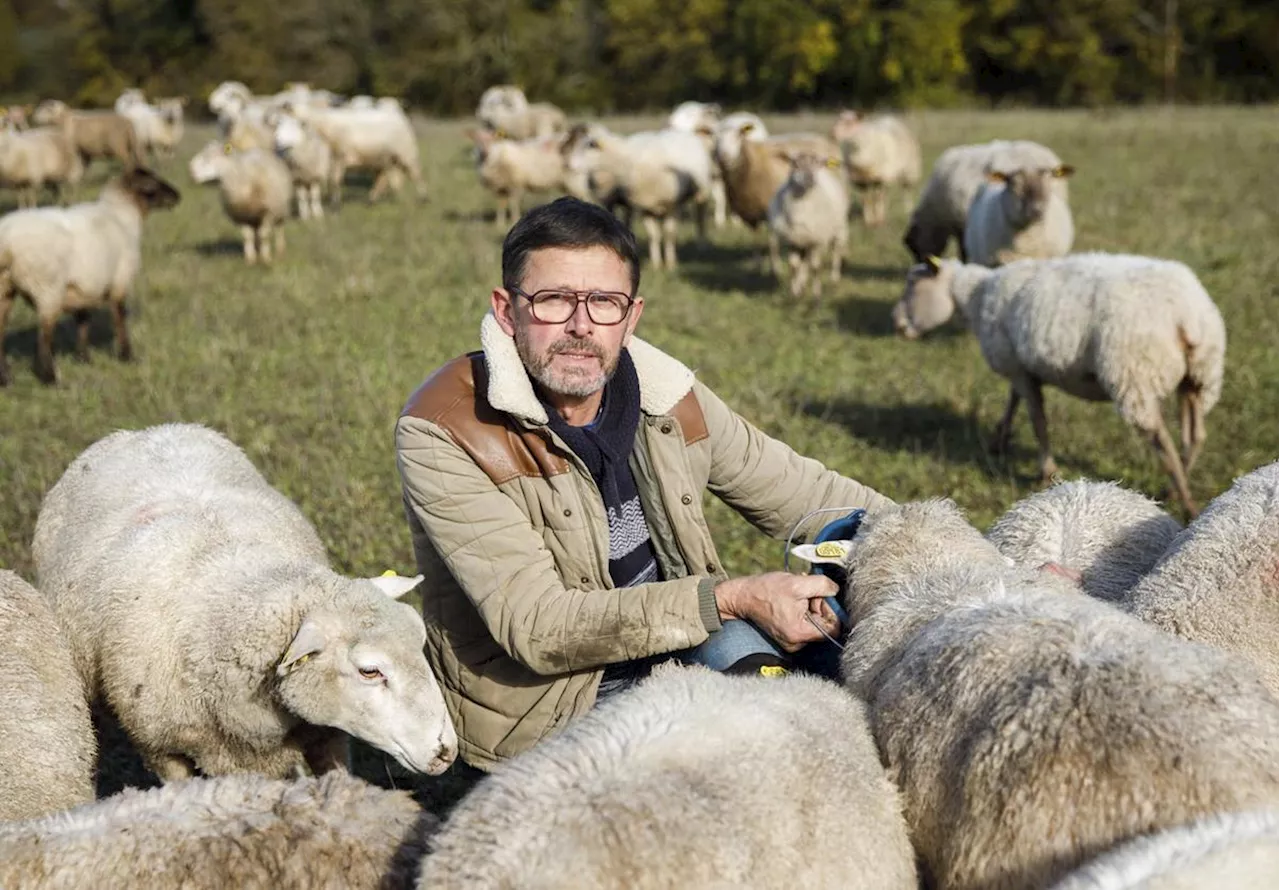 « L’Amour est dans le pré » sur M6 : Christophe, l’agriculteur du Périgord, est-il toujours avec Yann, le banquier ch’ti ?