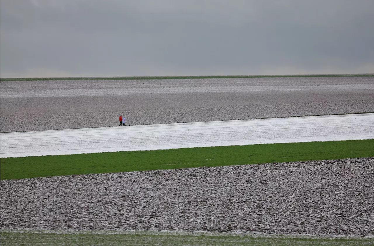 Wetter in Bayern: Glatteis und Nebel, aber kaum Schnee