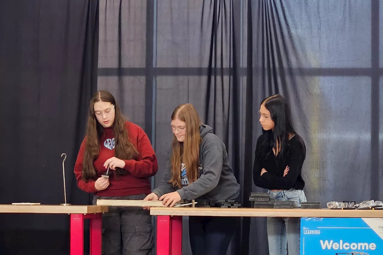 Hand-Made Bridges Compete and Crash in Thunder Bay