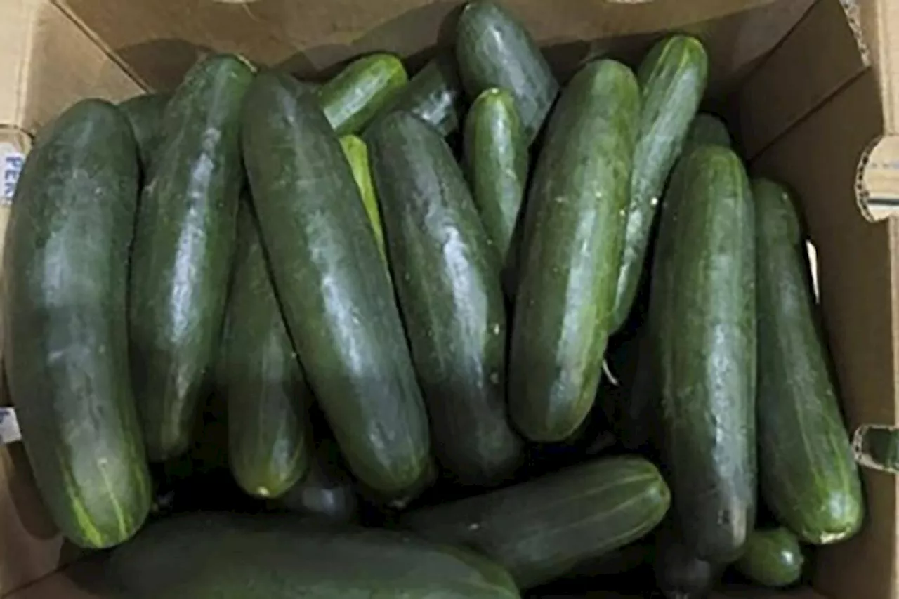 Salmonella risk sparks second B.C. cucumber recall in less than a week