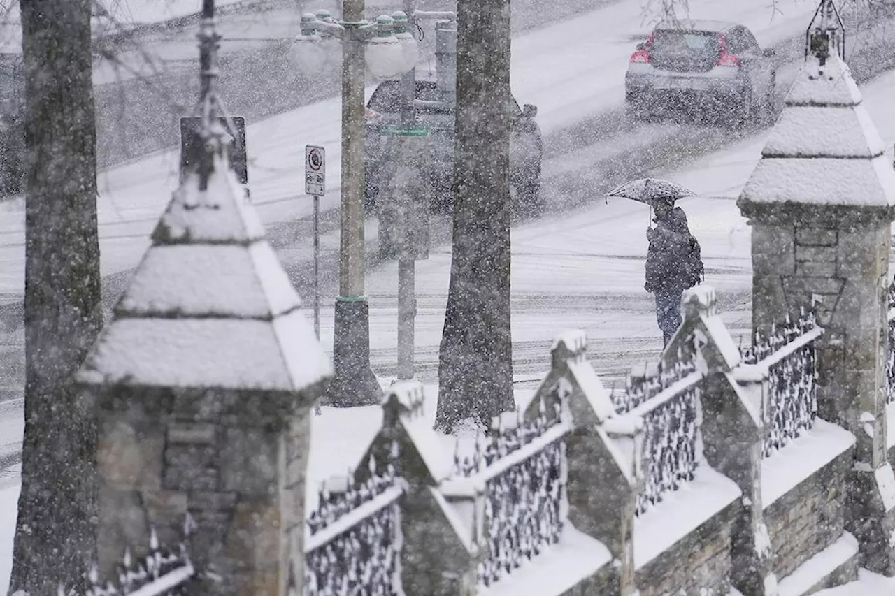 Wetter, more typical winter in the cards for B.C., Environment Canada says