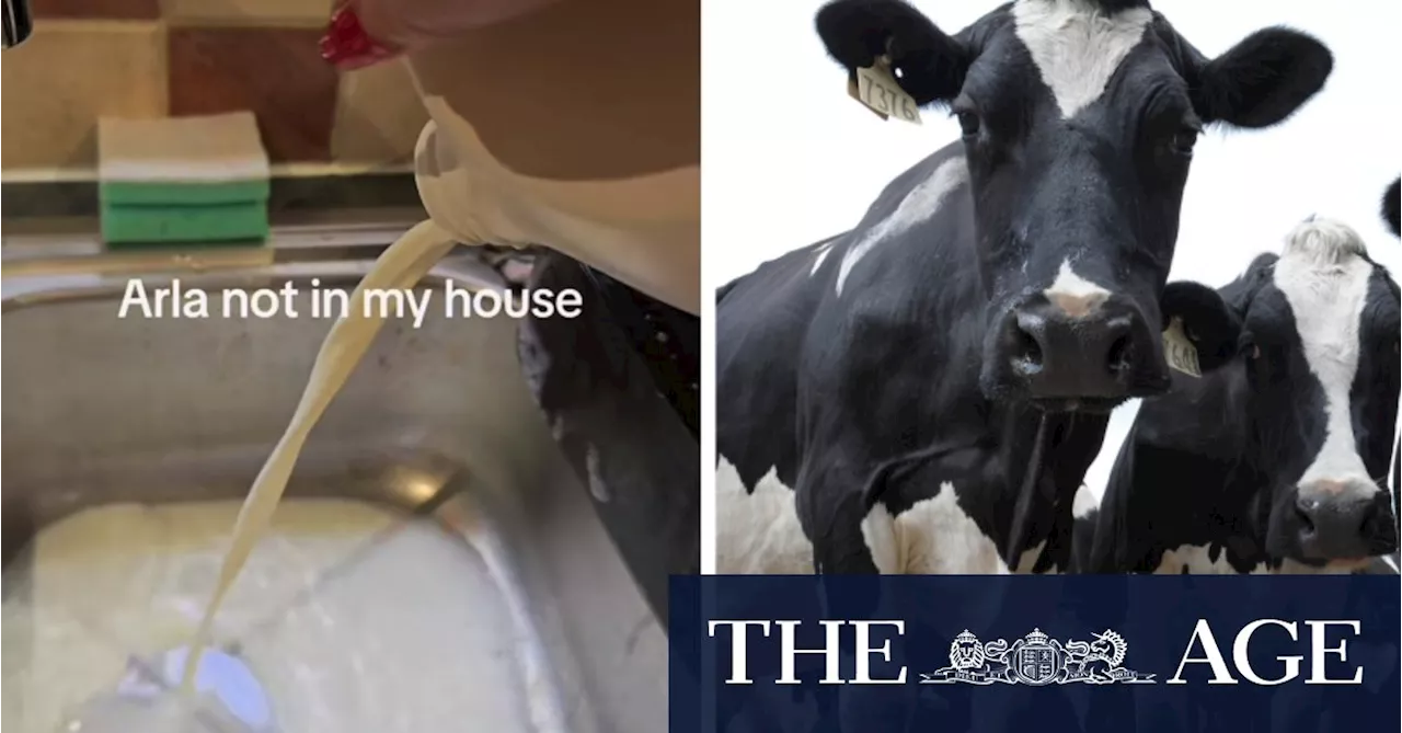 Panic over additive in cattle feed sparks milk and meat furore