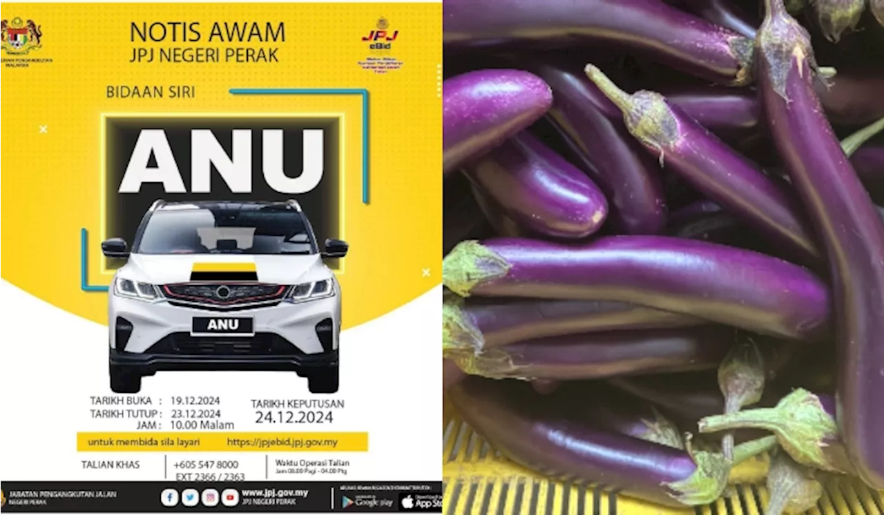 Malaysians Can Start Bidding For The ‘ANU’ Series Number Plate This 19 December