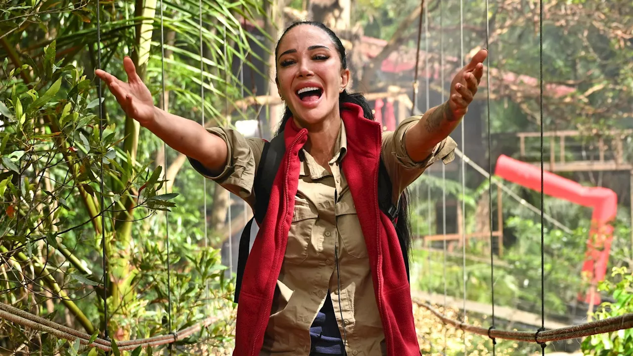 Tulisa Contostavlos Deletes I'm A Celebrity Posts After Being Evicted