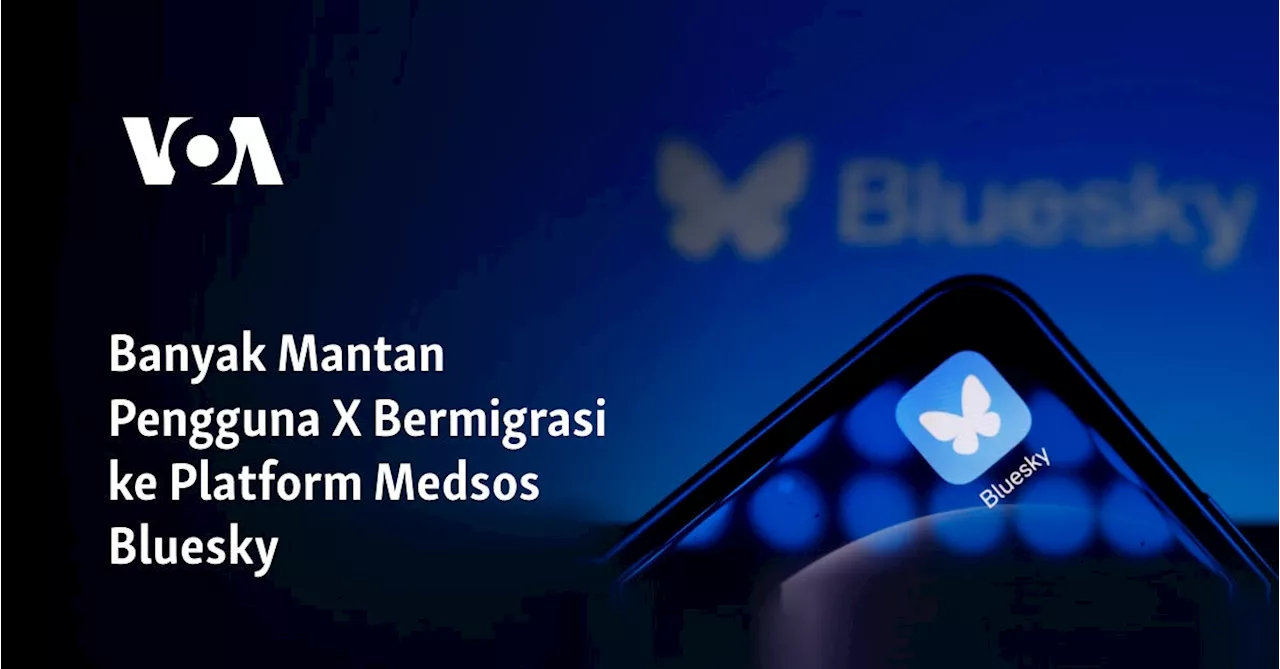 Banyak Mantan Pengguna X Bermigrasi ke Platform Medsos Bluesky