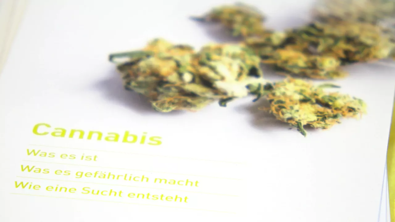 Cannabis-Clubs: Schulung zum Suchtpräventionsbeauftragten in Aachen