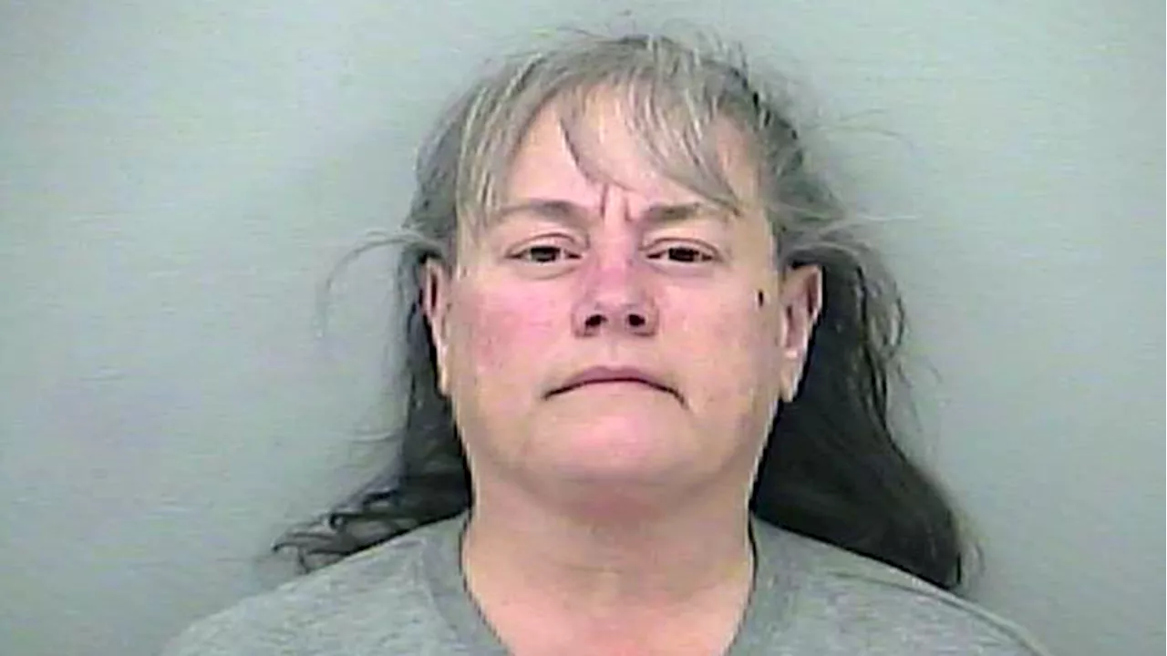 Delaware County woman seen on video abusing children at home daycare admits guilt