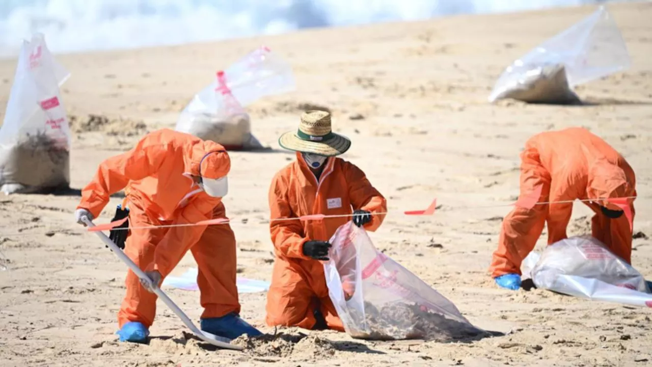 Tar Balls Found on Sydney Beach, Cleanup Initiated