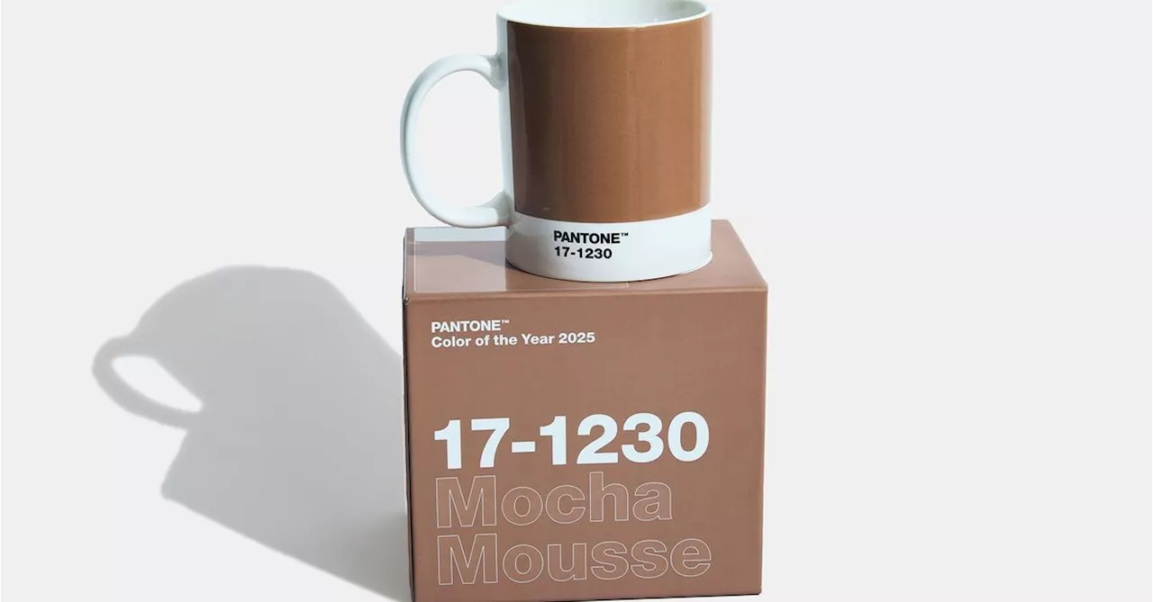 Pantone Names Mocha Mousse as Color of the Year for 2025