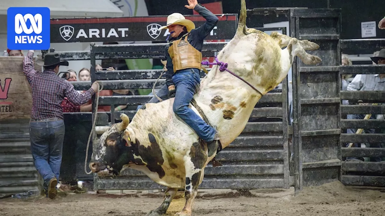 Bull Riding Rivalry Thrives at 162-Year-Old Pub