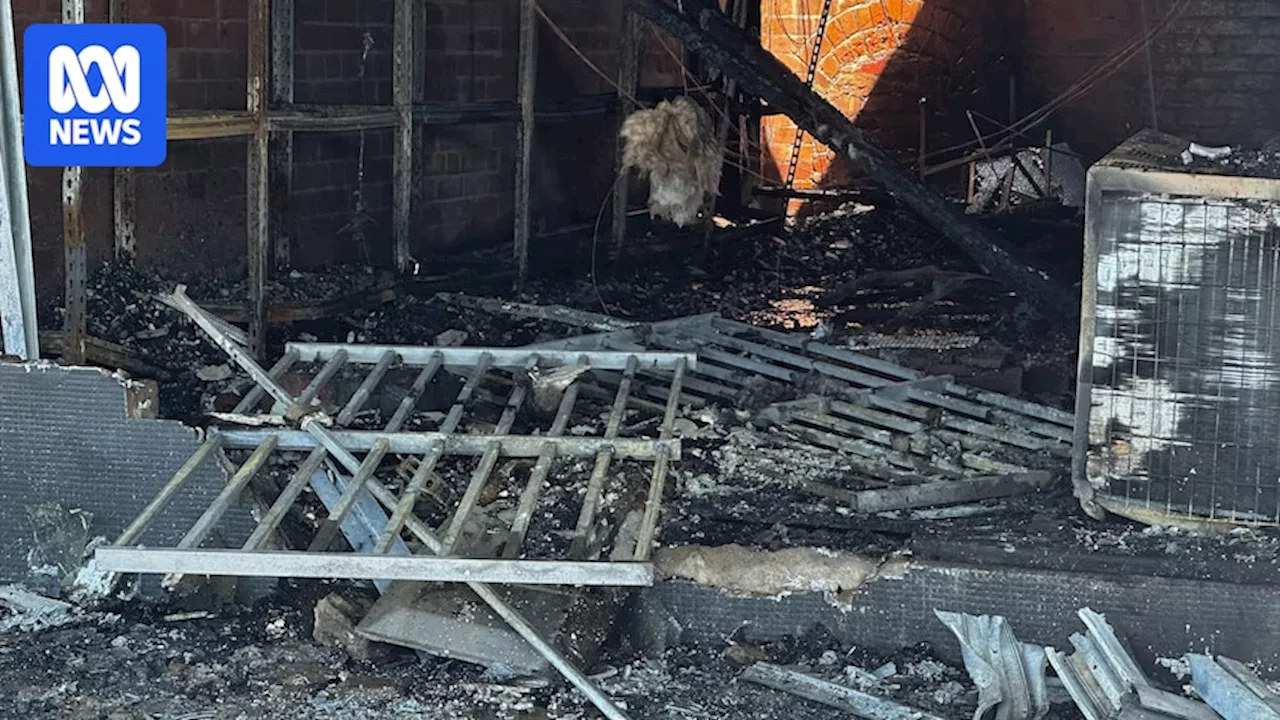 Fire Destroys Tobacco and Gift Shop in Rochester After Alleged Arson