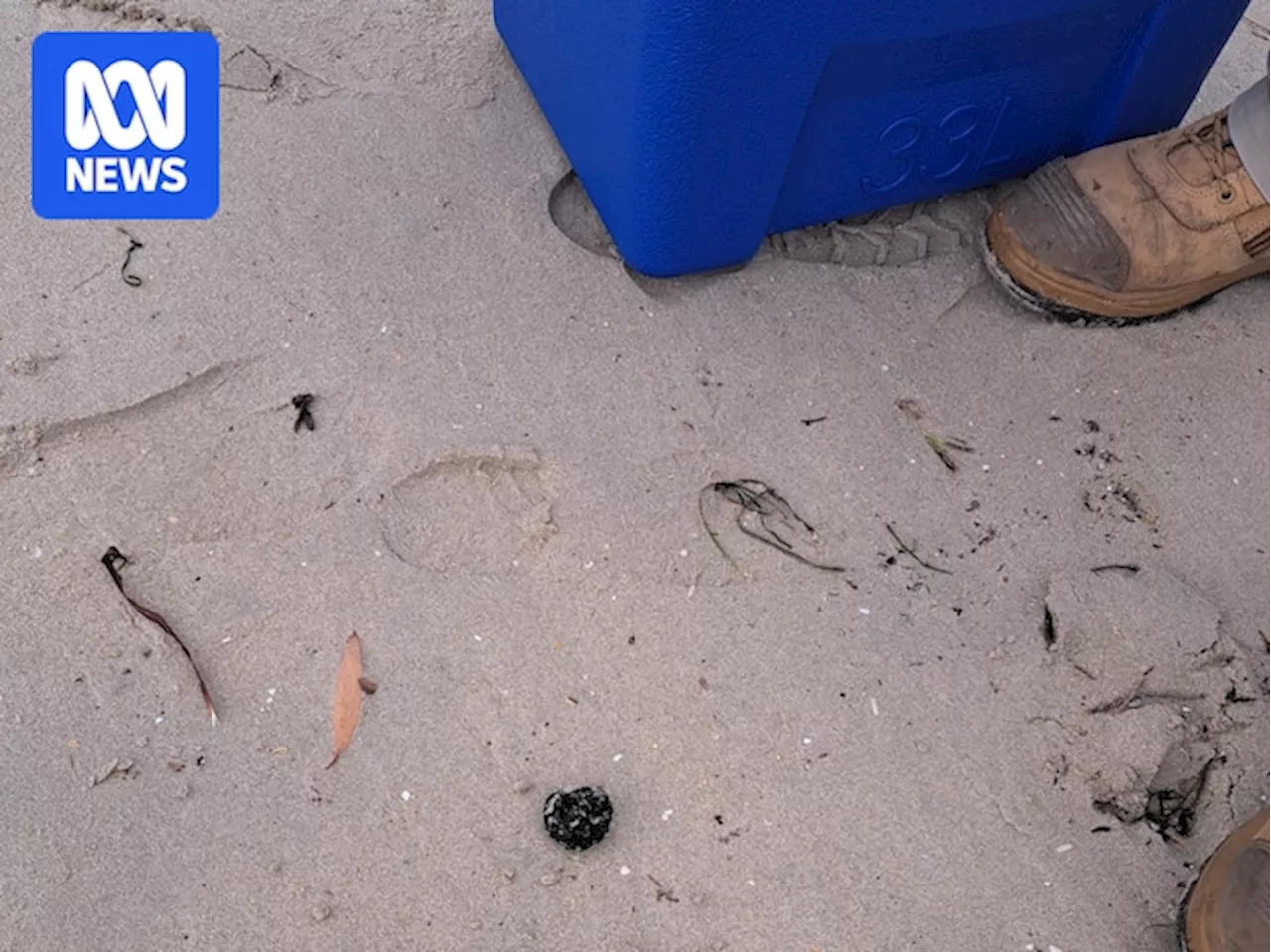 Mysterious Black Balls Wash Ashore in Sydney's South