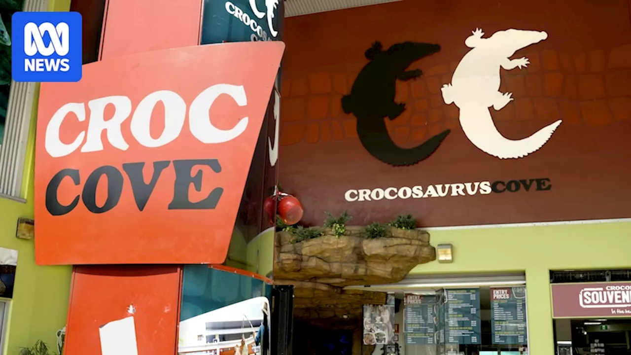 Two turtles killed, four others injured in break-in at Darwin tourist attraction Crocosaurus Cove