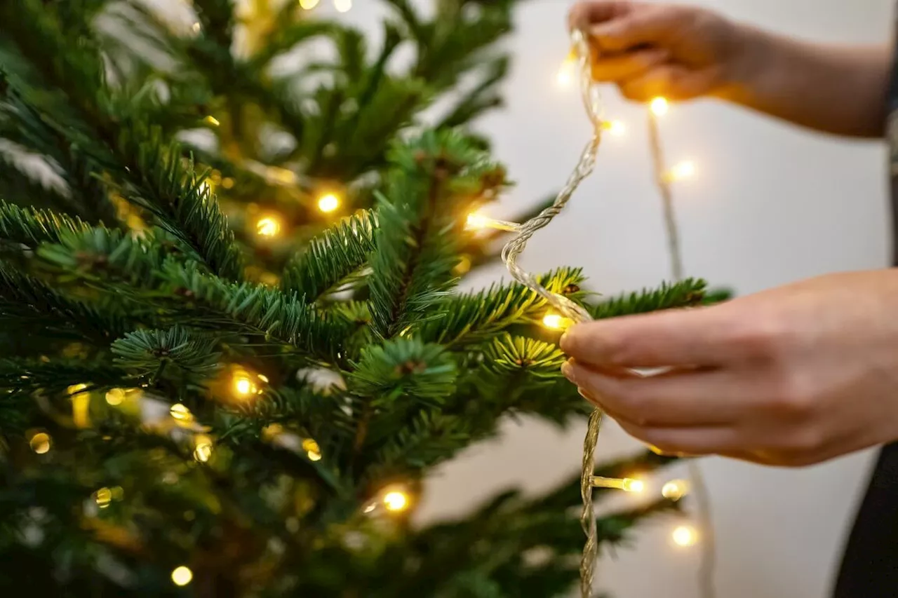 Illuminez votre Noël avec des guirlandes lumineuses : Festive et Élégante