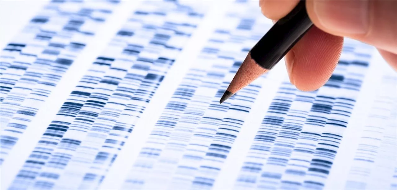 Fall-Kontroll-Studie : Biomarker-Analyse könnte bei der Barrett-Ösophagus-Therapiesteuerung helfen