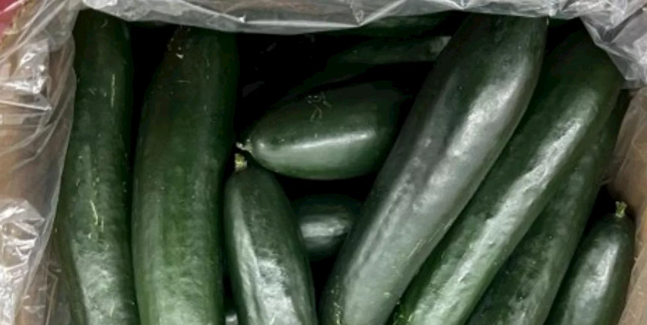 Cucumbers sold at Walmart, Costco recalled for possible salmonella contamination