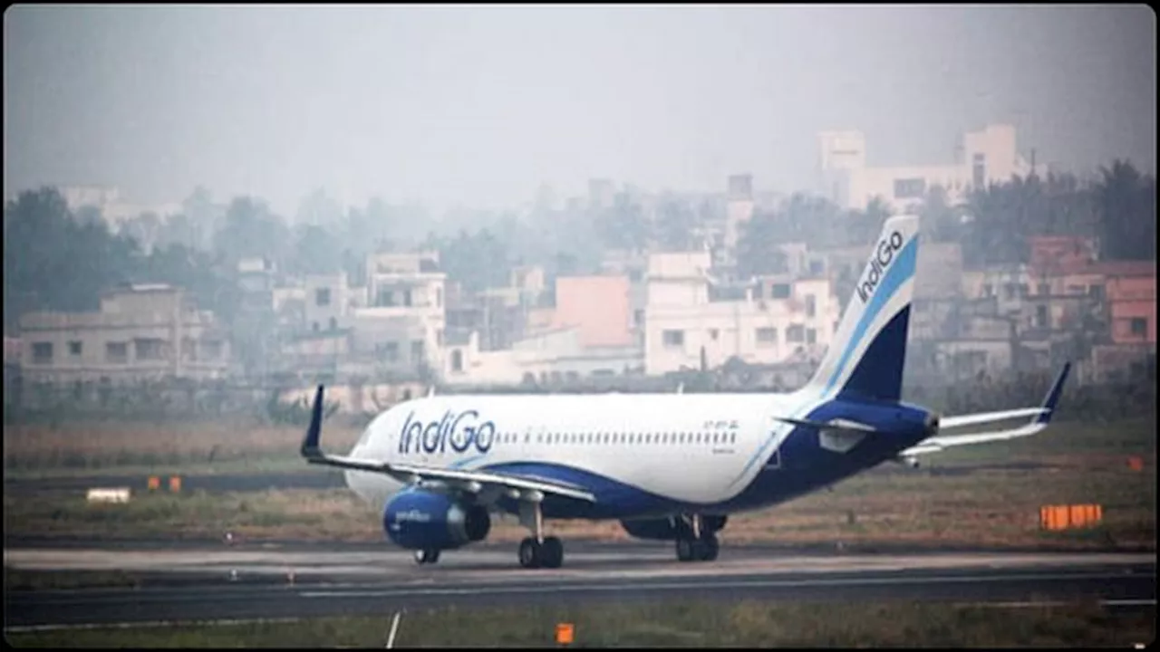 Indigo: विमान की रैंप पर गिरने से यात्री घायल, इंडिगो ने माफी मांगी; एक्स पर शिकायत के बाद लौटाया टिकट का पैसा