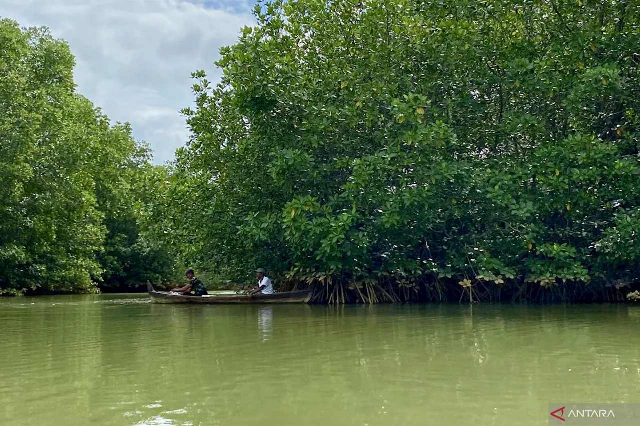 Cerita dari pesisir Langkat, tentang mereka yang menjaga mangrove