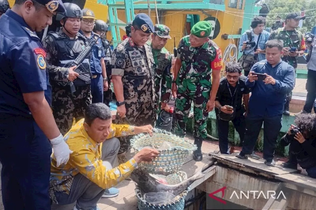 KKP selamatkan kerugian negara Rp3,5 triliun dari 'ilegal fishing'