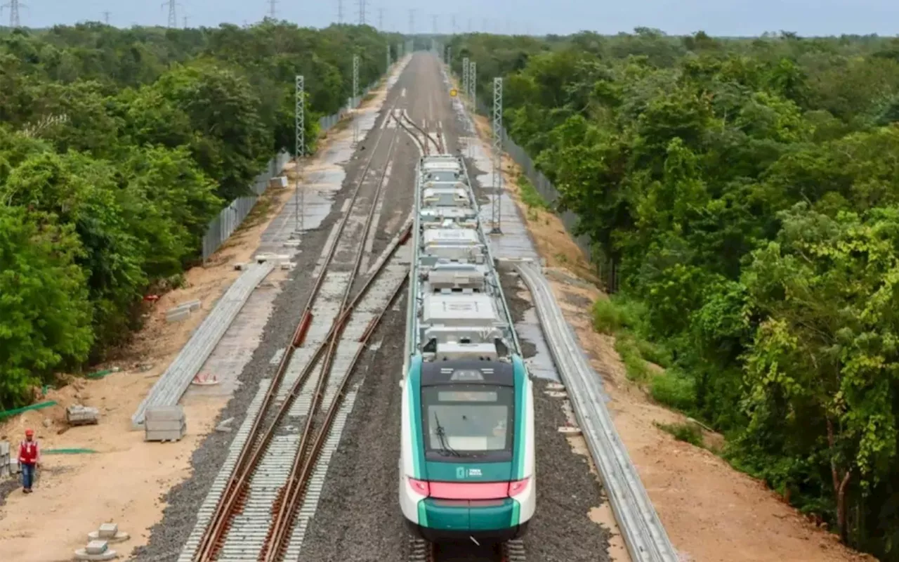 Verificará Profepa que empresa contratada para ahuyentar animales sobre Tren Maya cumpla normatividad