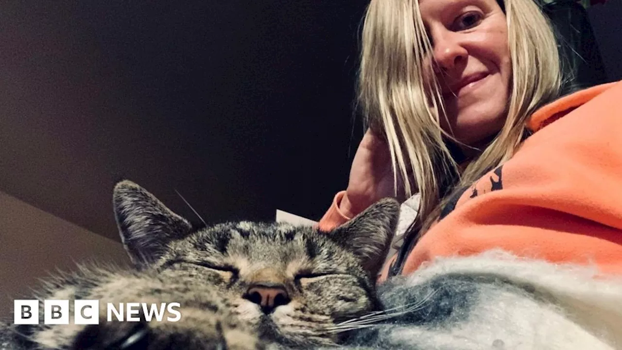 Call for law change after pet cat found dead in Plymouth bin