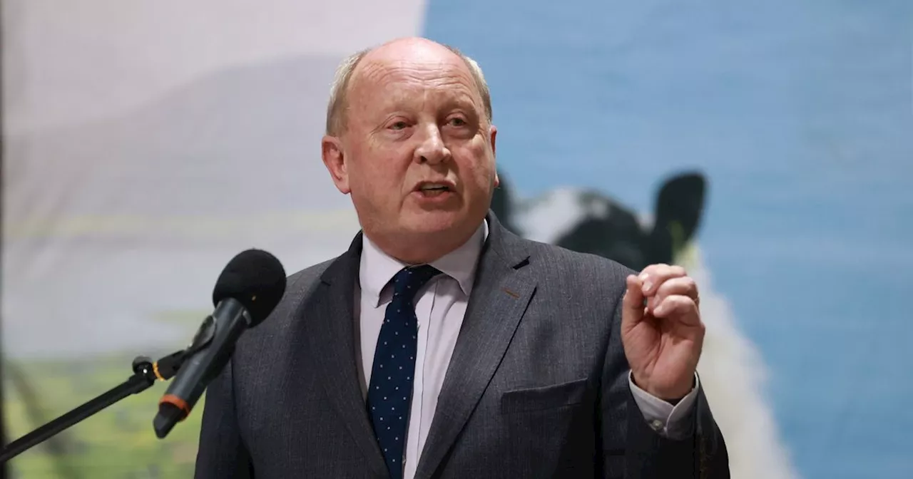 Jim Allister says new Bill will mean 'no physical customs barriers are required'