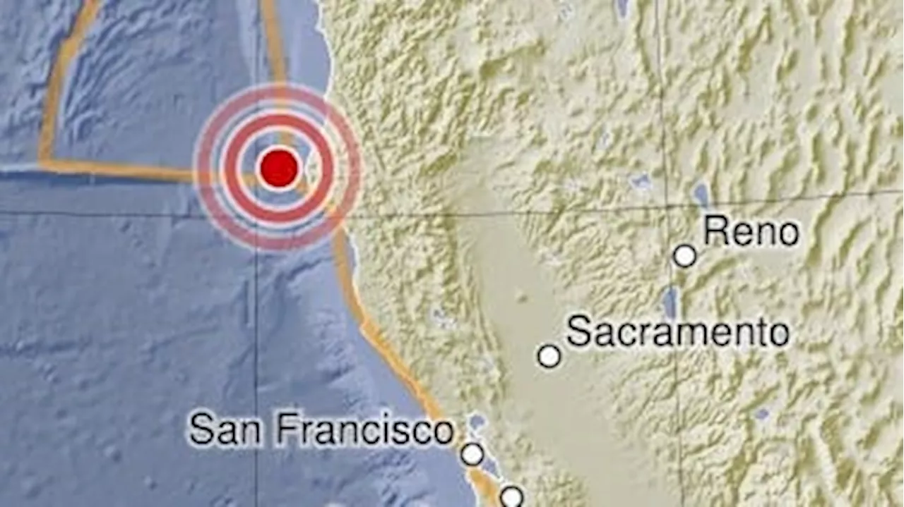 Kalifornien erschüttert: Starker Erdbeben nahe San Francisco