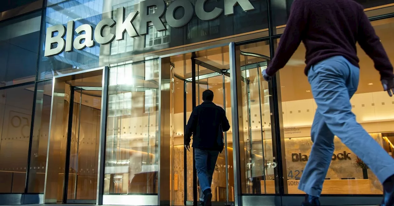 Investors should revaluate the ‘traditional 60/40 portfolio’ in 2025: BlackRock