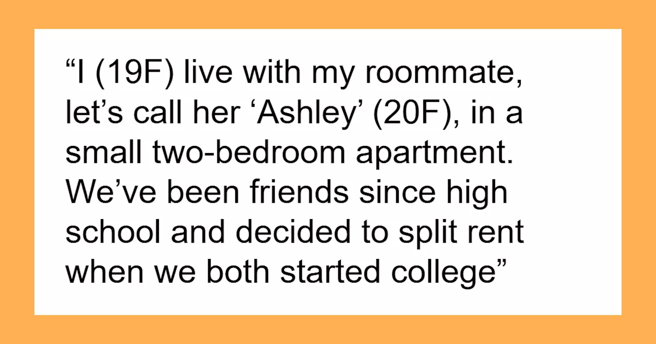 Living with a Roommate During College: A Valuable Experience