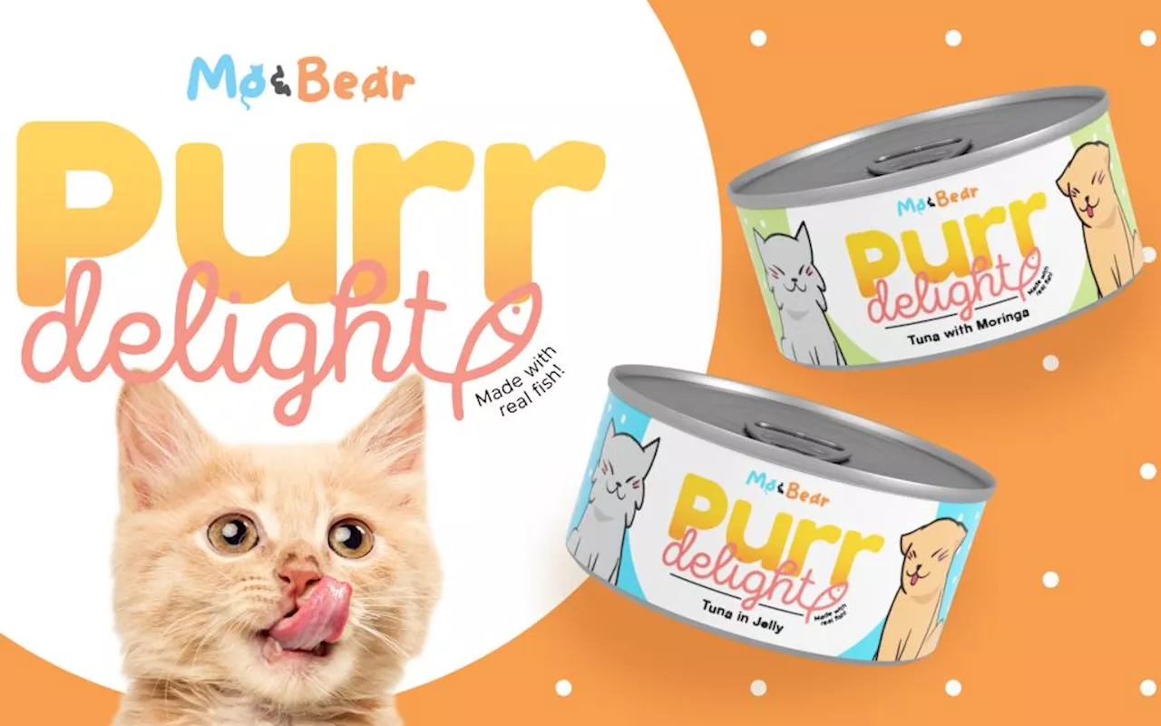 Purr Delight: The First Moringa-Enhanced Wet Cat Food Now Available in Local Supermarkets