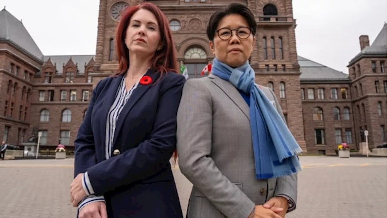 Ontario Legislative Committee Cuts Short Study on Intimate Partner Violence