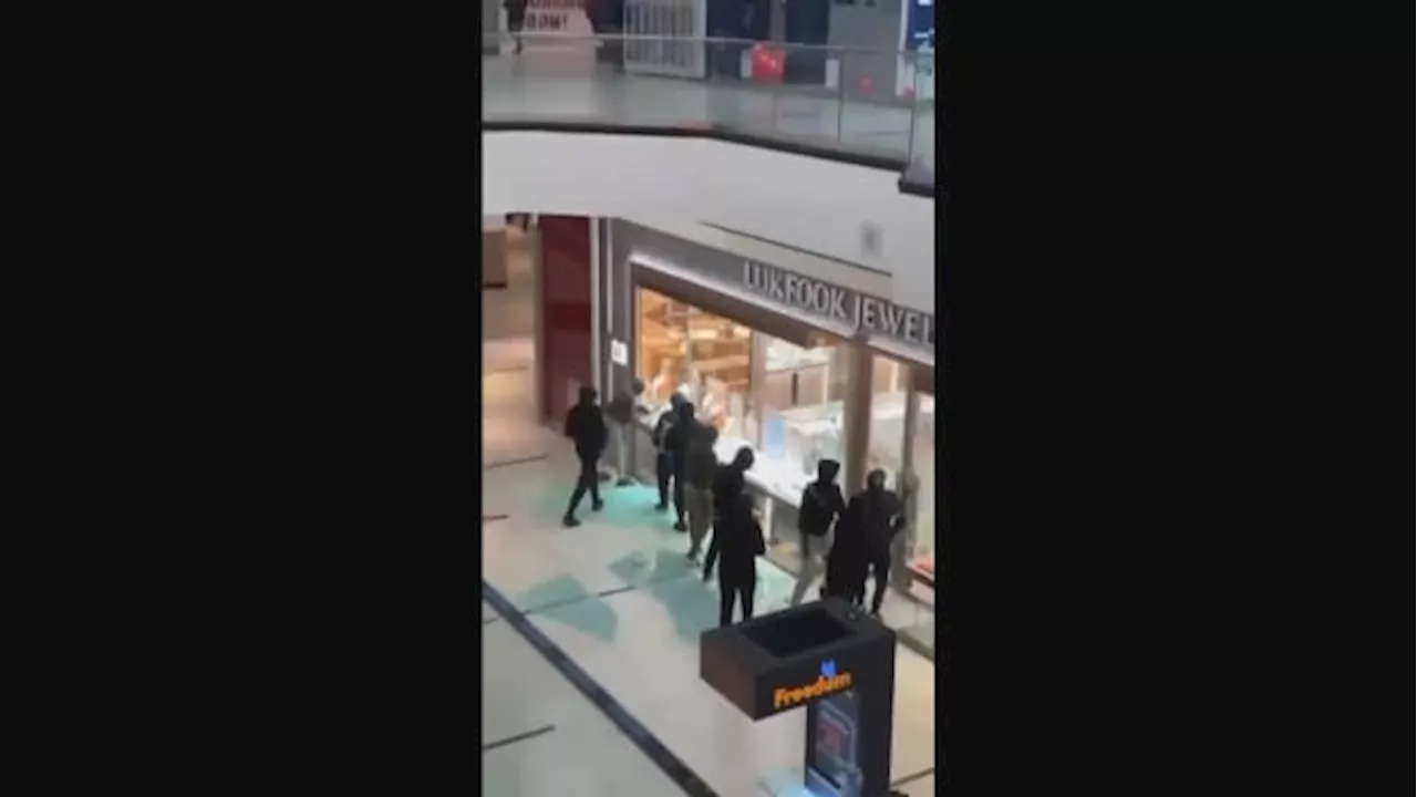 Six Arrested in Markham Jewelry Store Robbery