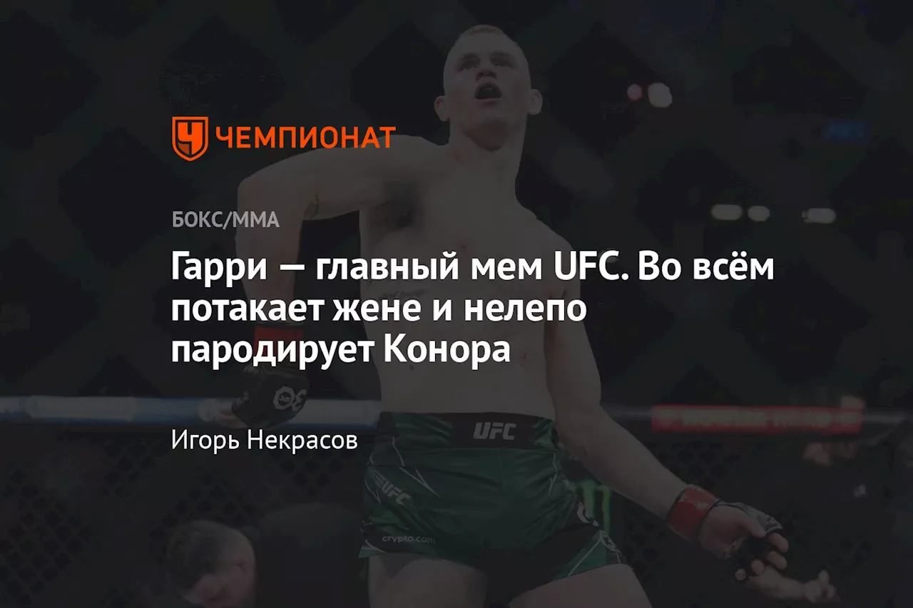 Гарри — главный мем UFC. Во всём потакает жене и нелепо пародирует Конора