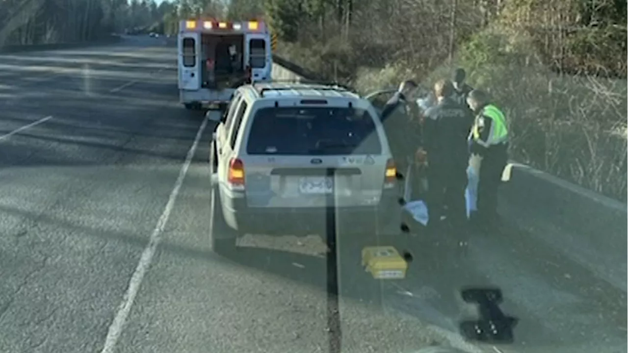 Baby Born in Vehicle on Nanaimo Highway, First Responders Ensure Safety