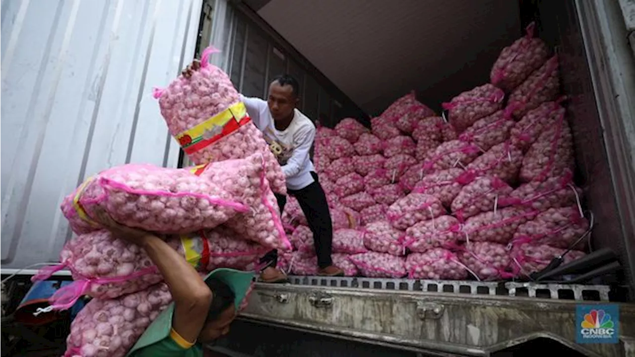 Bos Badan Pangan-Pengusaha Rapat Bahas Bawang Putih, Gini Kondisinya