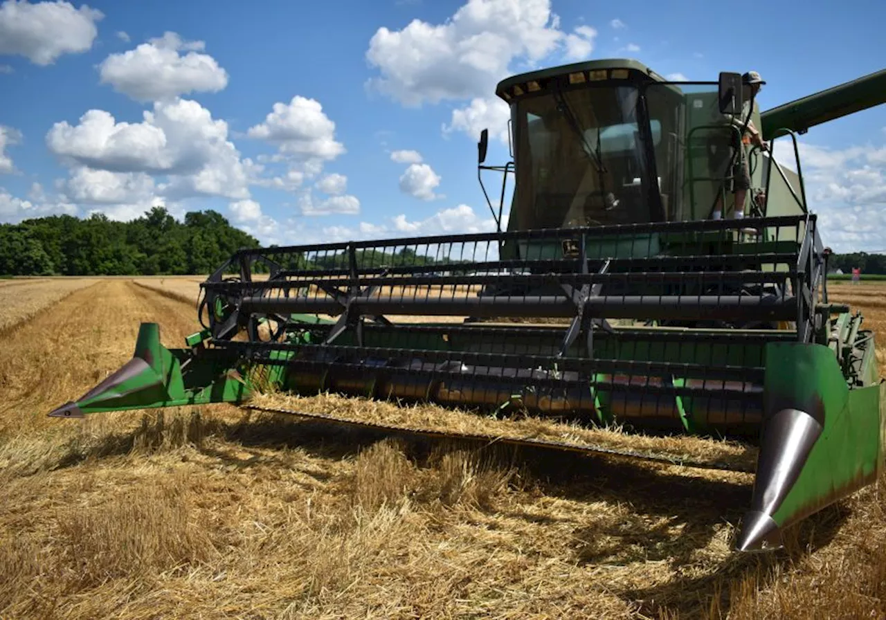 Itália quer mudar seções de agricultura do acordo UE-Mercosul, diz ministro