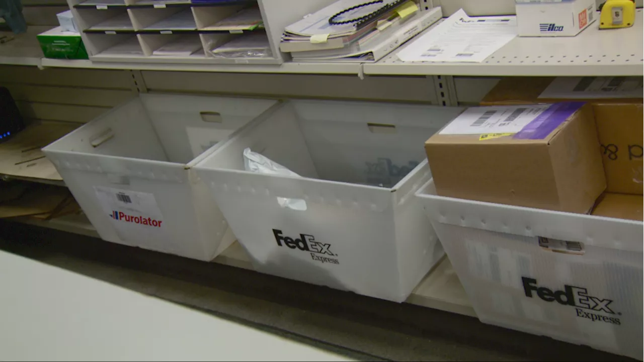 Ottawa customers turning to couriers to get holiday packages shipped as Canada Post strike continues