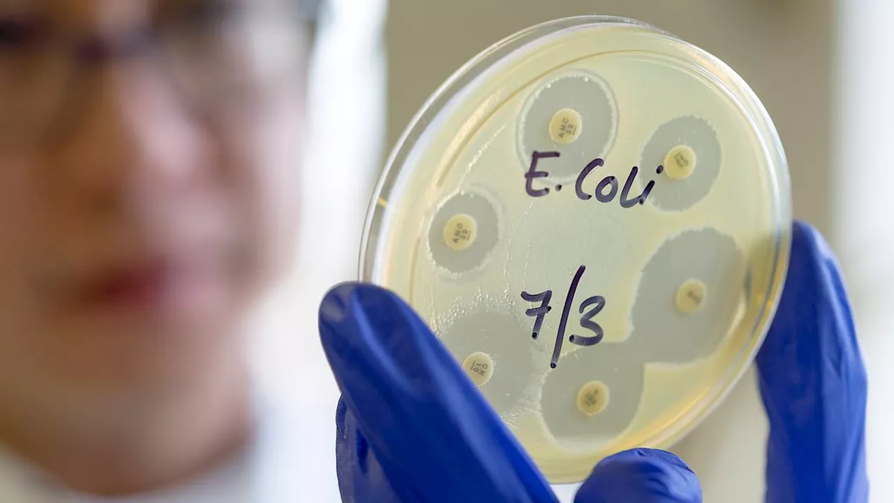 New Vaccine Targets E.coli Strains Linked to Cancer Risks